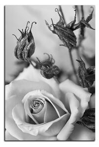 Obraz na plátně - Růže a uschlé rostliny - obdélník 7225QA (90x60 cm )