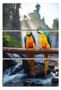 Obraz na plátně - Modro žluté Macaw - obdélník 7232B (90x60 cm )