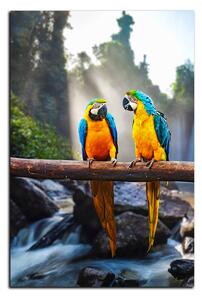 Obraz na plátně - Modro žluté Macaw - obdélník 7232A (100x70 cm)