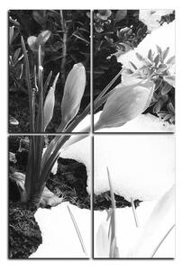 Slika na platnu - Rano proljetno cvijeće - pravokutnik 7242QE (90x60 cm)