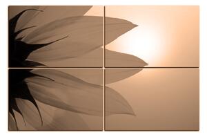 Obraz na plátně - Slunečnice květ 1201FE (150x100 cm)