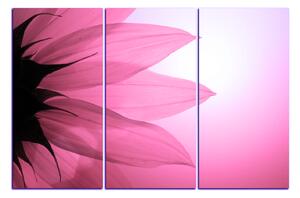 Obraz na plátně - Slunečnice květ 1201VB (120x80 cm)