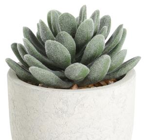 Eglo 428011 - Umělá rostlina v květináči CHITOSE 11x8 cm sukulent