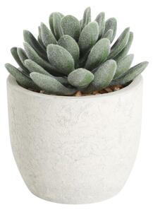 Eglo 428011 - Umělá rostlina v květináči CHITOSE 11x8 cm sukulent