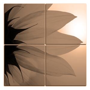 Obraz na plátně - Slunečnice květ - čtverec 3201FE (60x60 cm)