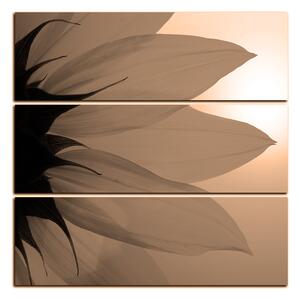 Obraz na plátně - Slunečnice květ - čtverec 3201FD (75x75 cm)