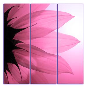 Obraz na plátně - Slunečnice květ - čtverec 3201VB (75x75 cm)