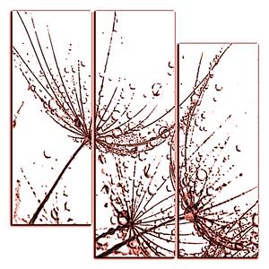 Obraz na plátně - Pampelišková semínka s kapkami vody - čtverec 3202KC (75x75 cm)