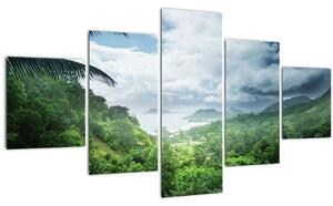 Obraz - Seychelská jungle (125x70 cm)