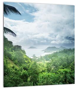 Obraz - Seychelská jungle (30x30 cm)