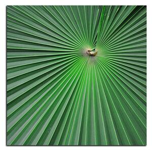 Obraz na plátně - Tropické listy - čtverec 3205A (50x50 cm)
