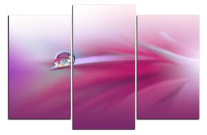 Obraz na plátně - Krásné květinové pozadí 1215C (150x100 cm)