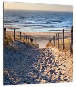 Obraz - Cesta k pláži Severního moře, Nizozemsko (30x30 cm)