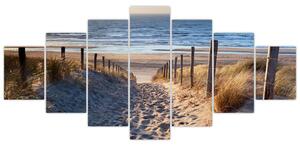 Obraz - Cesta k pláži Severního moře, Nizozemsko (210x100 cm)