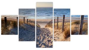 Obraz - Cesta k pláži Severního moře, Nizozemsko (125x70 cm)