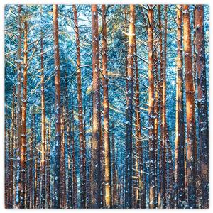 Obraz - Zimní les (30x30 cm)