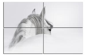 Obraz na plátně - Andaluský kůň v mlze 1219E (150x100 cm)