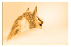 Obraz na plátně - Andaluský kůň v mlze 1219FA (120x80 cm)