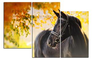 Obraz na plátně - Černý kůň 1220D (120x80 cm)