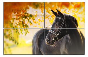Obraz na plátně - Černý kůň 1220E (150x100 cm)