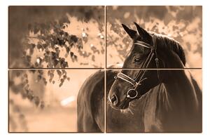 Obraz na plátně - Černý kůň 1220FE (90x60 cm)