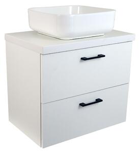 Koupelnová skříňka pod deskové umyvadlo Agria W 60-HD - bílá/bílá