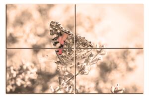 Obraz na plátně - Motýl na levandule 1221FE (90x60 cm)