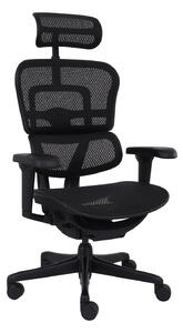 Ergonomické křeslo Ergohuman 2 Ultra BS Black