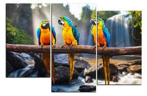 Obraz na plátně - Modro žluté Macaw 1232D (120x80 cm)