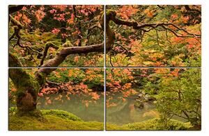 Obraz na plátně - Červený javor podzim 1241E (120x80 cm)