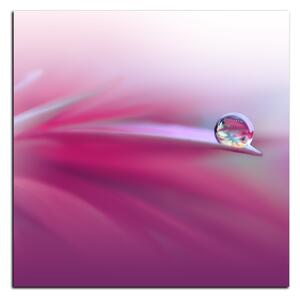 Obraz na plátně - Krásné květinové pozadí - čtverec 3215A (50x50 cm)