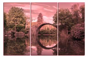 Obraz na plátně - Most v parku v Kromlau 1246VB (150x100 cm)
