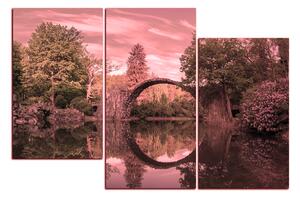 Obraz na plátně - Most v parku v Kromlau 1246VD (90x60 cm)