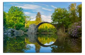 Obraz na plátně - Most v parku v Kromlau 1246A (100x70 cm)