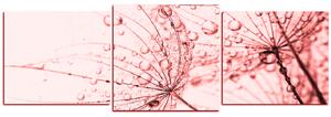 Obraz na plátně - Pampeliška s kapkami vody - panoráma 5203KD (150x50 cm)