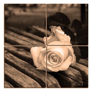 Obraz na plátně - Bílá růže na lavici - čtverec 3224FE (60x60 cm)