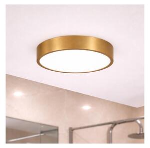 Brilagi - LED Koupelnové stropní svítidlo POOL LED/24W/230V pr. 30 cm IP54 bronz