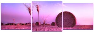 Obraz na plátně - Stohy sena v poli - panoráma 5211VD (150x50 cm)