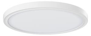 STROPNÍ LED SVÍTIDLO, 29,3/2,8 cm Novel - Stropní svítidla