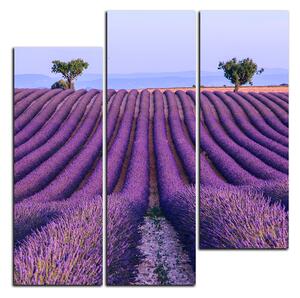 Obraz na plátně - Levandulové pole v létě - čtverec 3234D (75x75 cm)