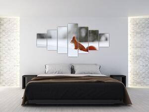 Obraz veverky (210x100 cm)