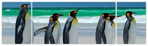 Obraz - Skupina královských Tučňáků (170x50 cm)
