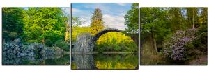 Obraz na plátně - Most v parku v Kromlau - panoráma 5246D (150x50 cm)
