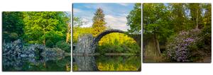 Obraz na plátně - Most v parku v Kromlau - panoráma 5246E (150x50 cm)