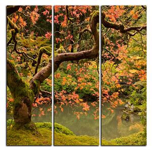 Obraz na plátně - Červený javor podzim - čtverec 3241B (75x75 cm)