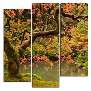 Obraz na plátně - Červený javor podzim - čtverec 3241C (75x75 cm)