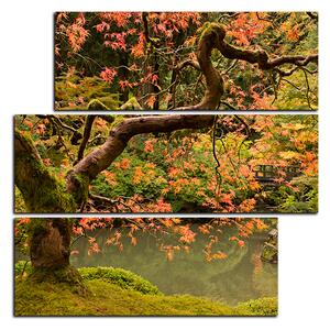 Obraz na plátně - Červený javor podzim - čtverec 3241D (75x75 cm)
