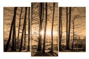 Obraz na plátně - Podzimní ráno v lese 1251FC (150x100 cm)