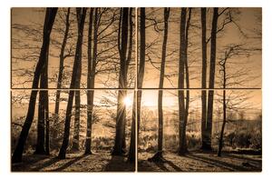 Obraz na plátně - Podzimní ráno v lese 1251FE (90x60 cm)