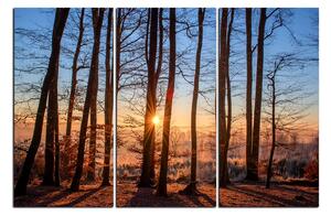 Obraz na plátně - Podzimní ráno v lese 1251B (90x60 cm )